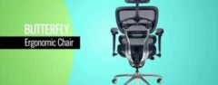 Balt Butterfly Ergonomic Executive