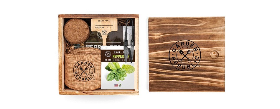 indoor herb garden seed starter kit