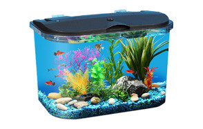koller products aq15005 - panaview 5-gallon aquarium kit