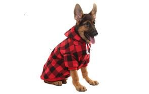 kooltail plaid dog hoodie