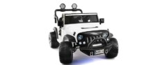 luxury electronics - electric ride on car two seater truck