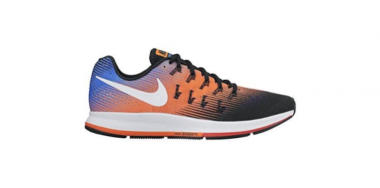 nike pegasus air zoom