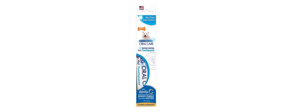nylabone advanced oral care toothpaste