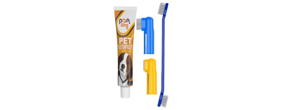 ortz toothpaste and toothbrush set