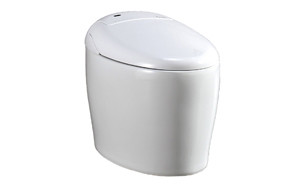 ove decors tuva tankless eco smart toilet