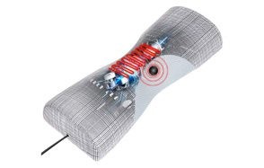 papillon alignment chiropractic pillow