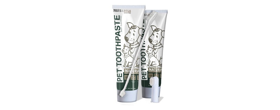 paws & pals dog toothpaste and toothbrush