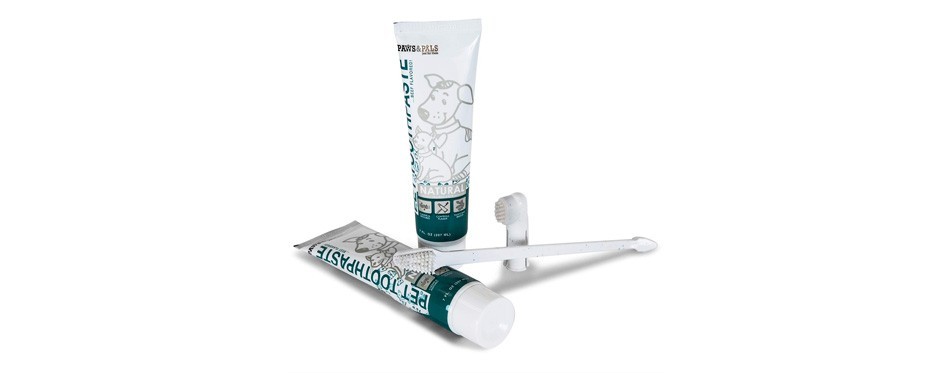 paws & pals dog toothpaste and toothbrush
