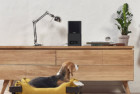 Petcube