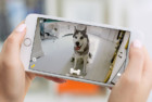 Petcube