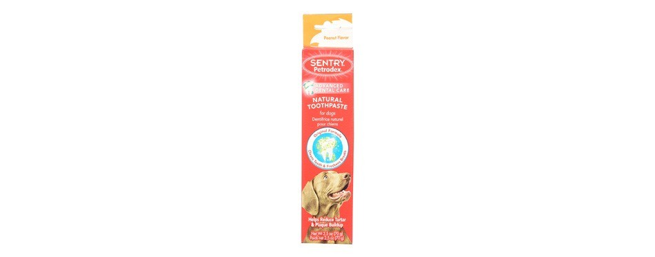 petrodex natural dog toothpaste