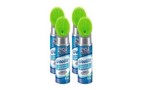 woolite carpet and upholstery cleaner stain remover