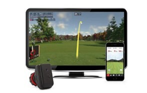 rapsodo r-motion simulator and swing analyzer