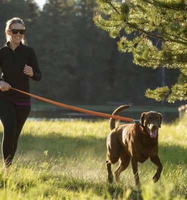 Roamer™ Bungee Dog Leash with Traffic Handle
