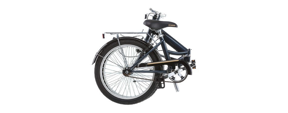 schwinn hinge