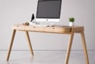 shelter desk