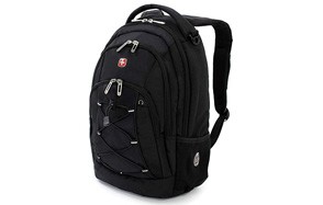 SwissGear Travel Gear Lightweight Bungee Backpack