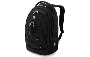 SwissGear Travel Gear Lightweight Bungee Backpack