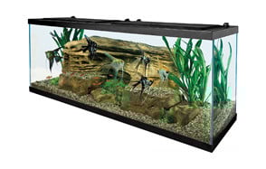 tetra 55 gallon aquarium kit