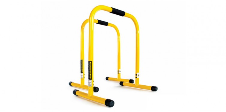 The Original Lebert Fitness Equalizer