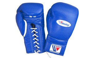 Training Boxing Gloves, by Winning