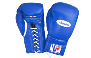 Training Boxing Gloves, by Winning