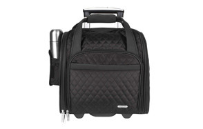 travelon wheeled underseat carry-on with back-up bag
