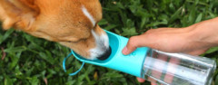 upsky portable pet water bottle