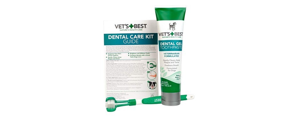 vet’s best enzymatic dog toothpaste