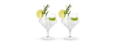 viski raye cocktail glasses