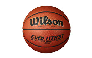 wilson evolution basketball