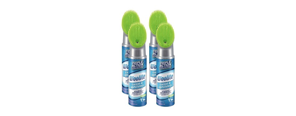 woolite carpet and upholstery cleaner stain remover